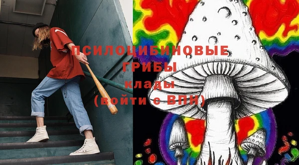 mdma Лагань