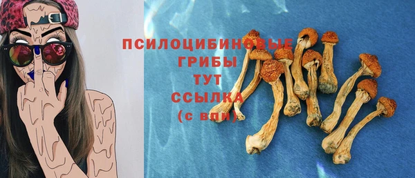 spice Куйбышев