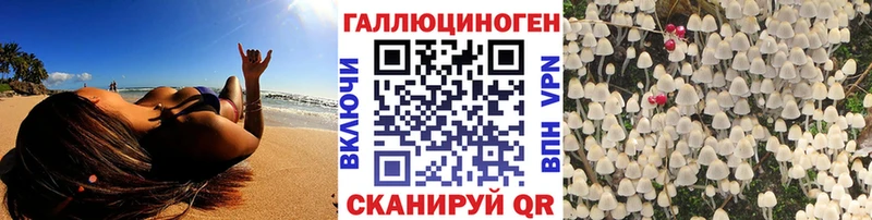 Галлюциногенные грибы Psilocybe  Купить  Новоузенск 